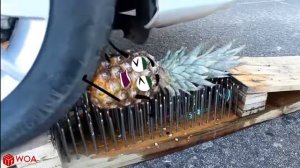 CAR vs GLASS Experiment Crushing Crunchy & Soft Things by Car Woa Doodland.mp4