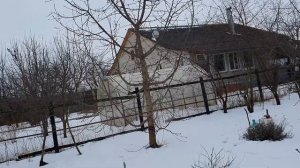 Сад зимой. ч. 2. ЧЕРЕШНЯ БРЯНСКАЯ РОЗОВАЯ