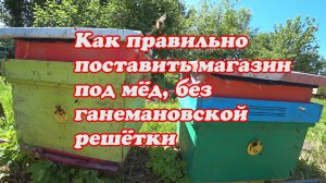КАК ПРАВИЛЬНО ПОСТАВИТЬ МАГАЗИННУЮ НАДСТАВКУ ПОД МЁД БЕЗ ГАНЕМАНОВСКОЙ РЕШЁТКИ.