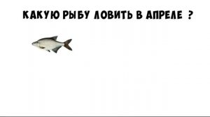 Какая рыба клюет в апреле. На что клюет в апреле