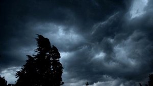 Стихотворение Ф. И. Тютчева "О чем ты воешь, ветр ночной"