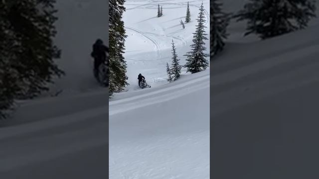 IMG 1634 1 смотреть онлайн