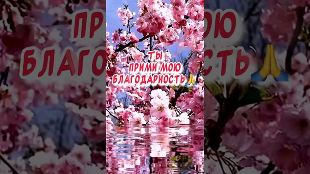 Трогательное поздравление Маме С днем Рождения 💐 С праздником тебя, родная💖