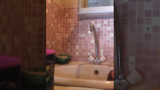 Как помыть волосы кукле монстер хай смотреть онлайн