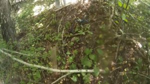 МЕТАЛЛОПОИСК 2022. Нашли 36 лемехов. Коп чермета №53.