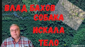 ?Влад Бахов. ⚡21 апреля собака искала тело