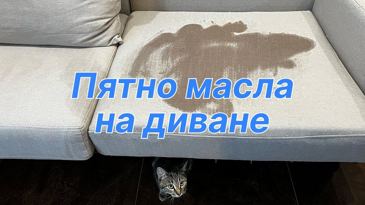Химчистка дивана, удаление пятна масла. Химчистка мебели