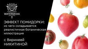 «Эффект помидорки»:  из чего складывается реалистичная ботаническая иллюстрация?