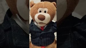 Медвежонок Гуляка (Авито). Аксессуары отдельно заказал.