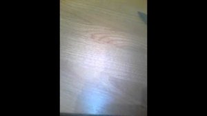 Как сделать манок на рябчика своими руками.