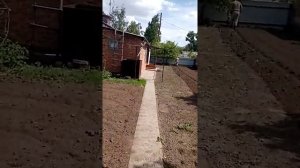 Наш новый участок. Поспелихинский район Алтайский край.