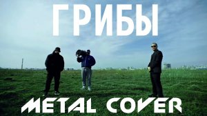 ГРИБЫ - ТАЕТ ЛЁД (FARNEV metal cover)