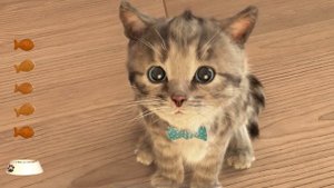 Play Fun Cute Kitten Care Games For Kids Adventure - My Favorite Cat Little Kitten Adventure