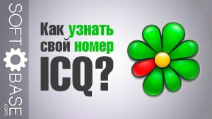 Как узнать свой номер ICQ?