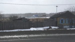 Tulyushka(Тулюшка) 26 March 2020 Spring