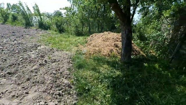 ГАРБУЗИ ДАНКА ПОЛЬКА/ЯК ЗІЙШЛИ/ЧОМУ САМЕ ВОНИ смотреть онлайн