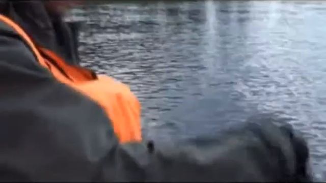 Дикие гуси  это безумно вкусно