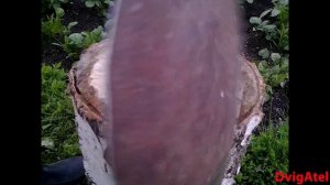 Диски для окучника из листа железа