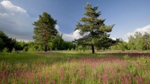 Там на самом на краю земли