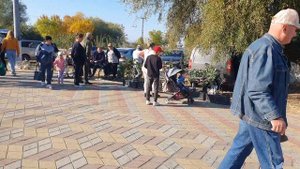 14.10.2023 г. Ярмарка Голубей  Овидиополь Одесская обл.