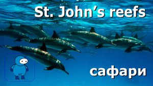 Дайвинг сафари на рифы St. John's в Египте. Весна 2017