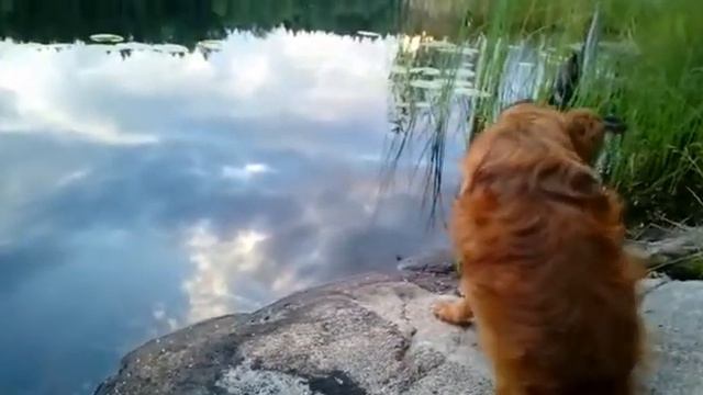 17 августа 2020 г.Небо упало смотреть онлайн