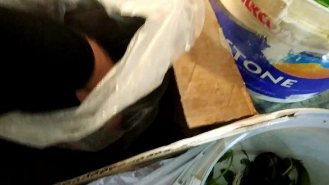 Подарок из Бухары, и что купил на Птичьем Рынке смотреть онлайн