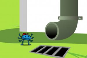 Incy Wincy spider| Детские песни на английском | Учить английский | *