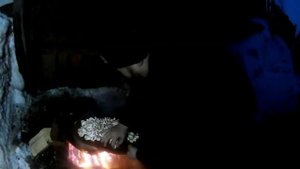 Мясо с картофелем и грибами в сливочном соусе в Казане!