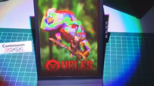 Hologram 176*276 hpx, 88*138 mm, 105 frame, 66 deg - 03
