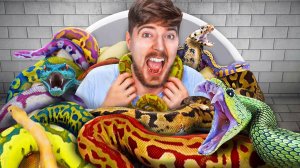 MrBeast На Русском? Сел Бы Ты в Ванну Со Змеями За $100.000?