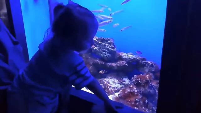 Океанариум "Морская сказка" (07.07.19) смотреть онлайн