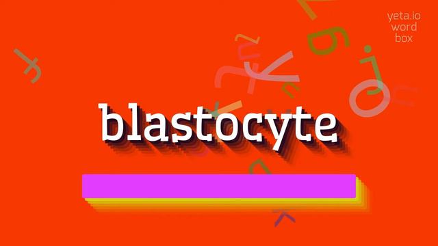 BLASTOCYTE - HOW TO PRONOUNCE BLASTOCYTE? #blastocyte смотреть онлайн