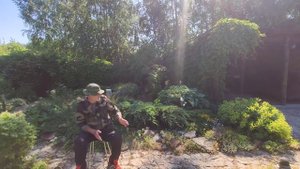 Альпийская горка, как сделать альпийскую горку своими руками