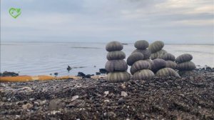 Спокойное Море, Музыка и расслабляющий Шум Волн 4К Видео!