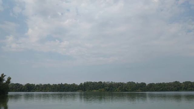 Как вылечить гепатит "С" без лекарств?! Гепатит "Ц" - это не приговор! смотреть онлайн