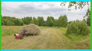 Сенокос "на дальнем кордоне" и деревенские новости прошедшей недели!