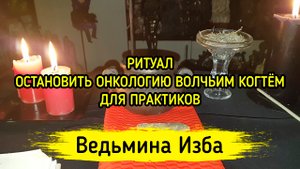 ОСТАНОВИТЬ ОНКОЛОГИЮ ВОЛЧЬИМ КОГТЁМ. ДЛЯ ПРАКТИКОВ. ВЕДЬМИНА ИЗБА ▶️ ИНГА ХОСРОЕВА