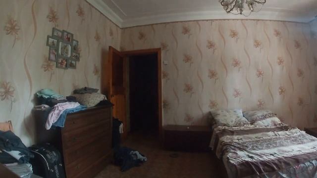 Лабрадор Рудольф (скрытая камера) смотреть онлайн