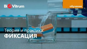 Фиксация образцов в формалине: как?