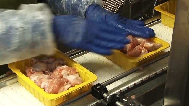 Переработка куриного мяса