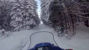 Снегоход Alpina SHERPA