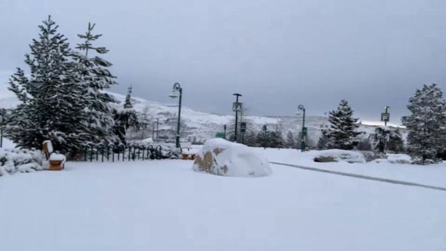 Стоим Закрыли Дорогу смотреть онлайн