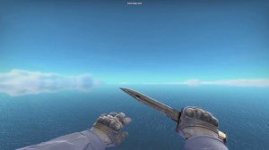 CS:GO M9 Bayonet Black Laminate MW Showcase