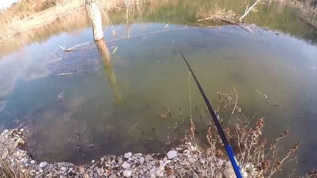 Ловля Сазана КАрпа Карася весна 2017 смотреть онлайн