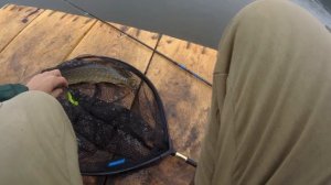 Рыбалка на щуку весной на джиг-риг 2019. Вот как работает джиг-риг