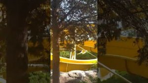 лучший аквапарк в Крыму для детей и взрослых.обзор,часть1