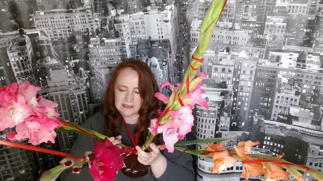 Двуглавый смотреть онлайн