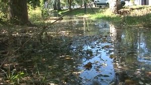 Течет ручей или новая старая проблема