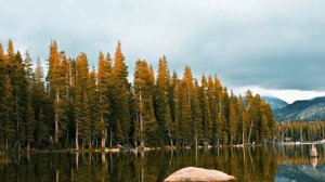 Gandalf. Mystical Morning. Part. 2